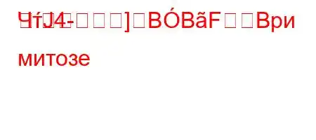 ЧтЈ4-]BBFBри митозе